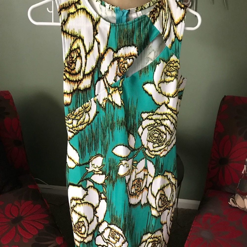 Sleeveless shin length cocktail dress